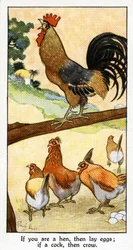„Ha tyúk vagy, tojást toj; ha kakas, kukorékolj”, 1931